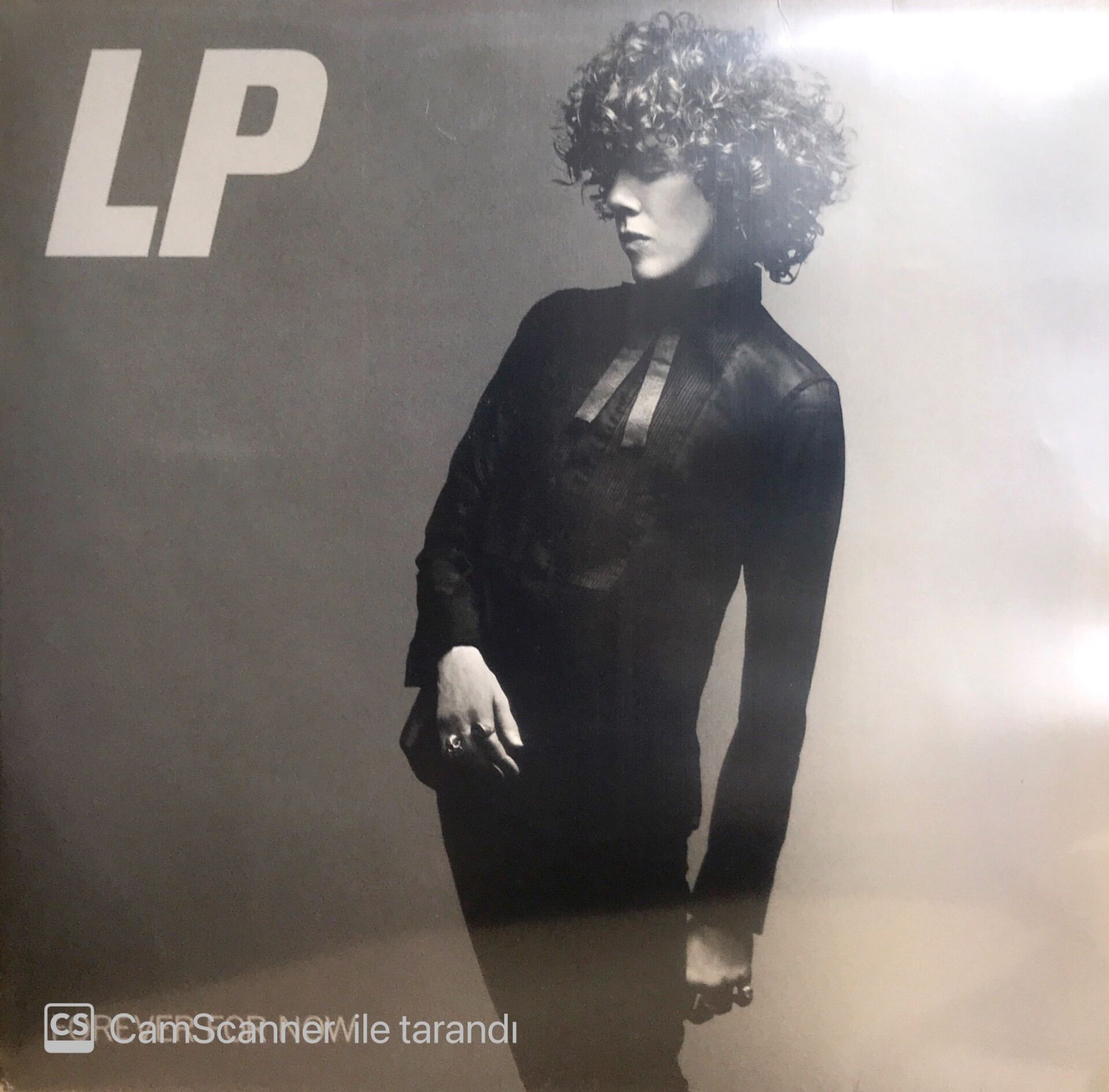 LP / Forever For Now LP
