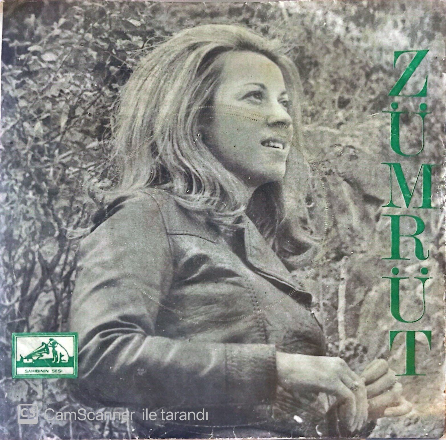Zümrüt - Kelebek 45lik