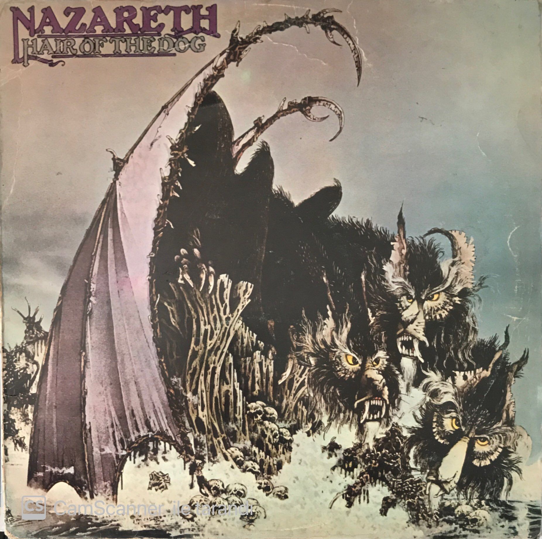 Nazareth - Hair Of The Dog LP