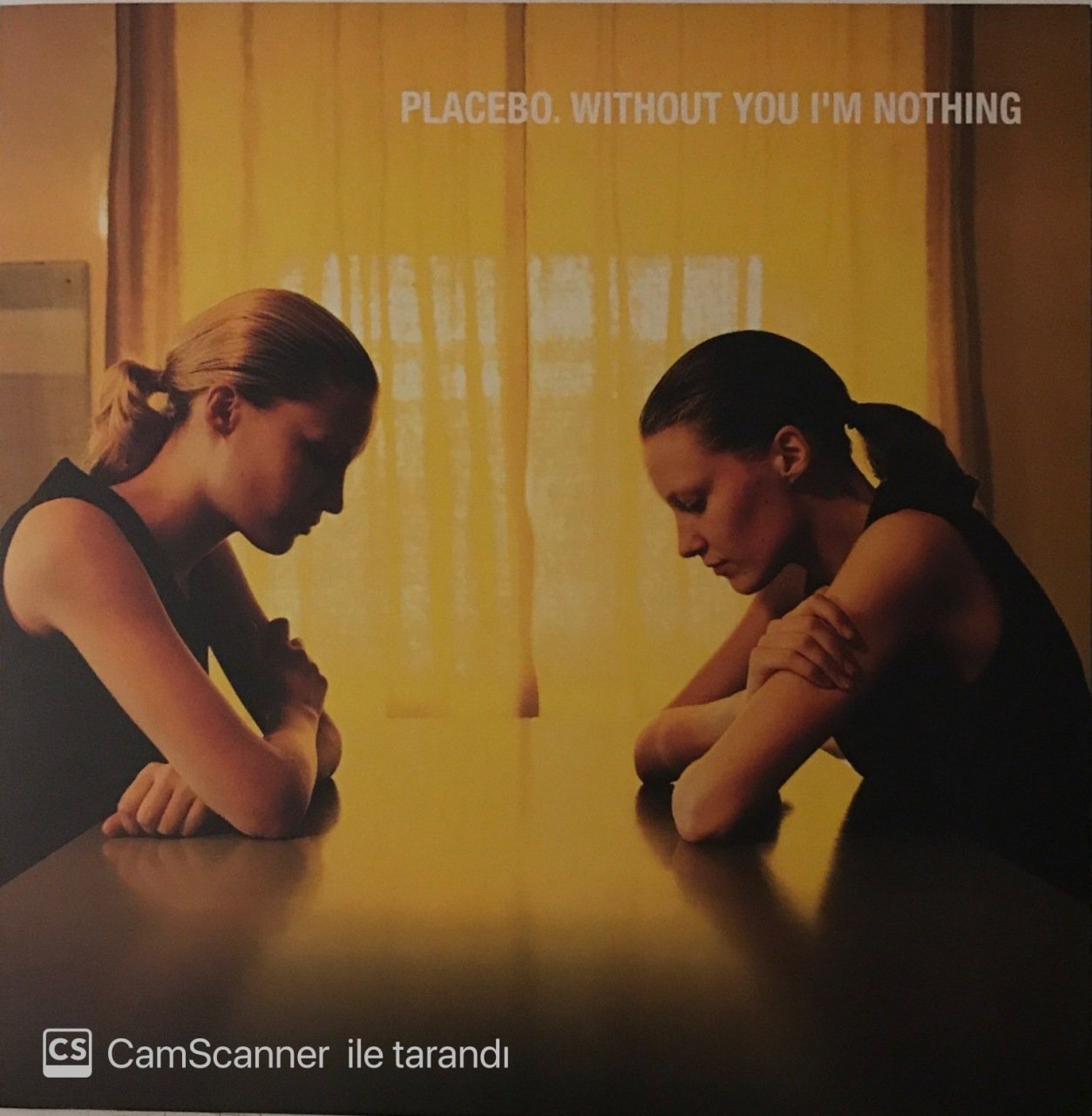 Placebo Without You I'm Nothing LP