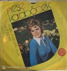 Neşe Karaböcek Sevda Yolu 45lik