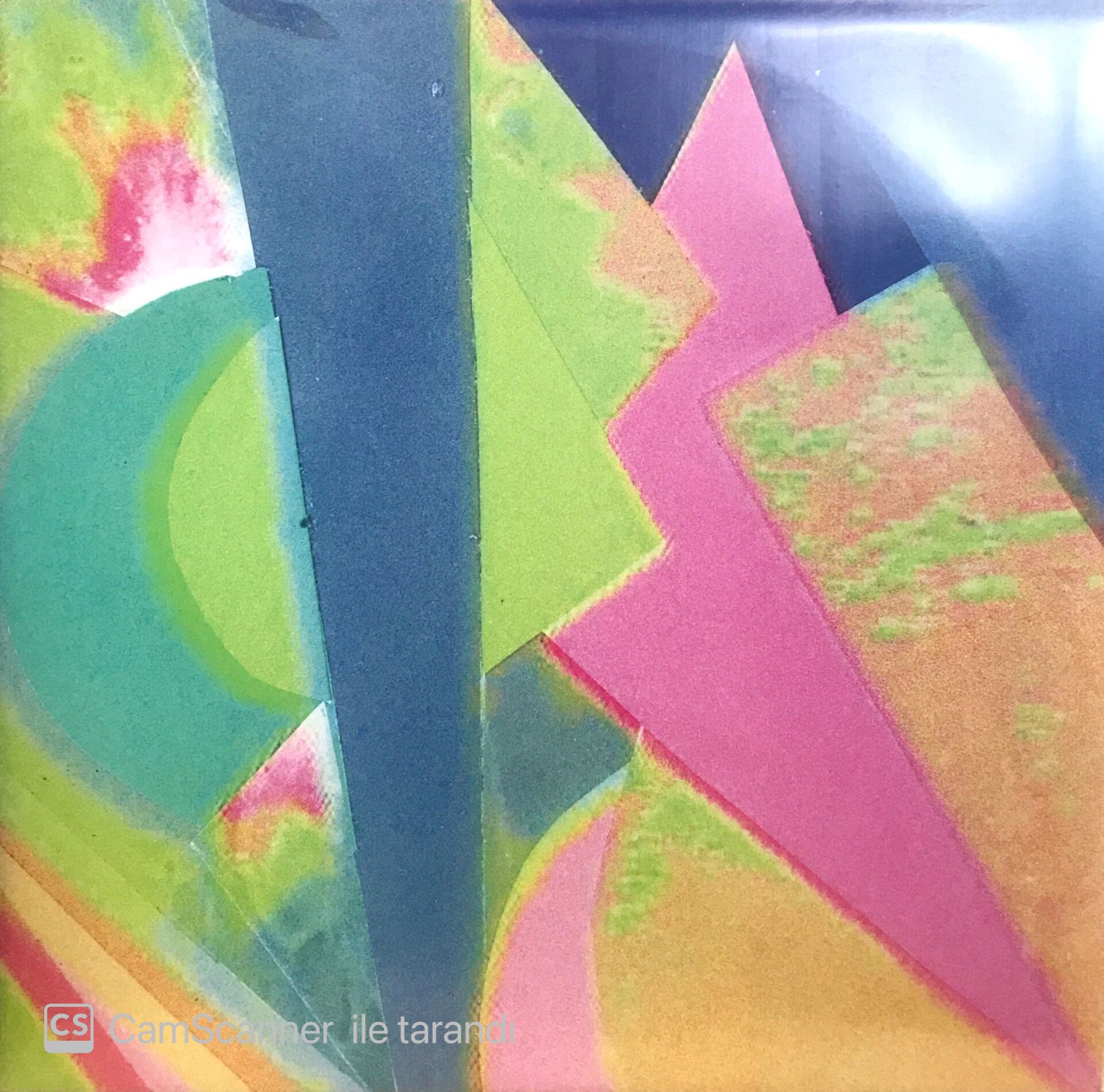 Neon Indian LP