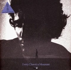 Tamino – Every Dawn's a Mountain LP