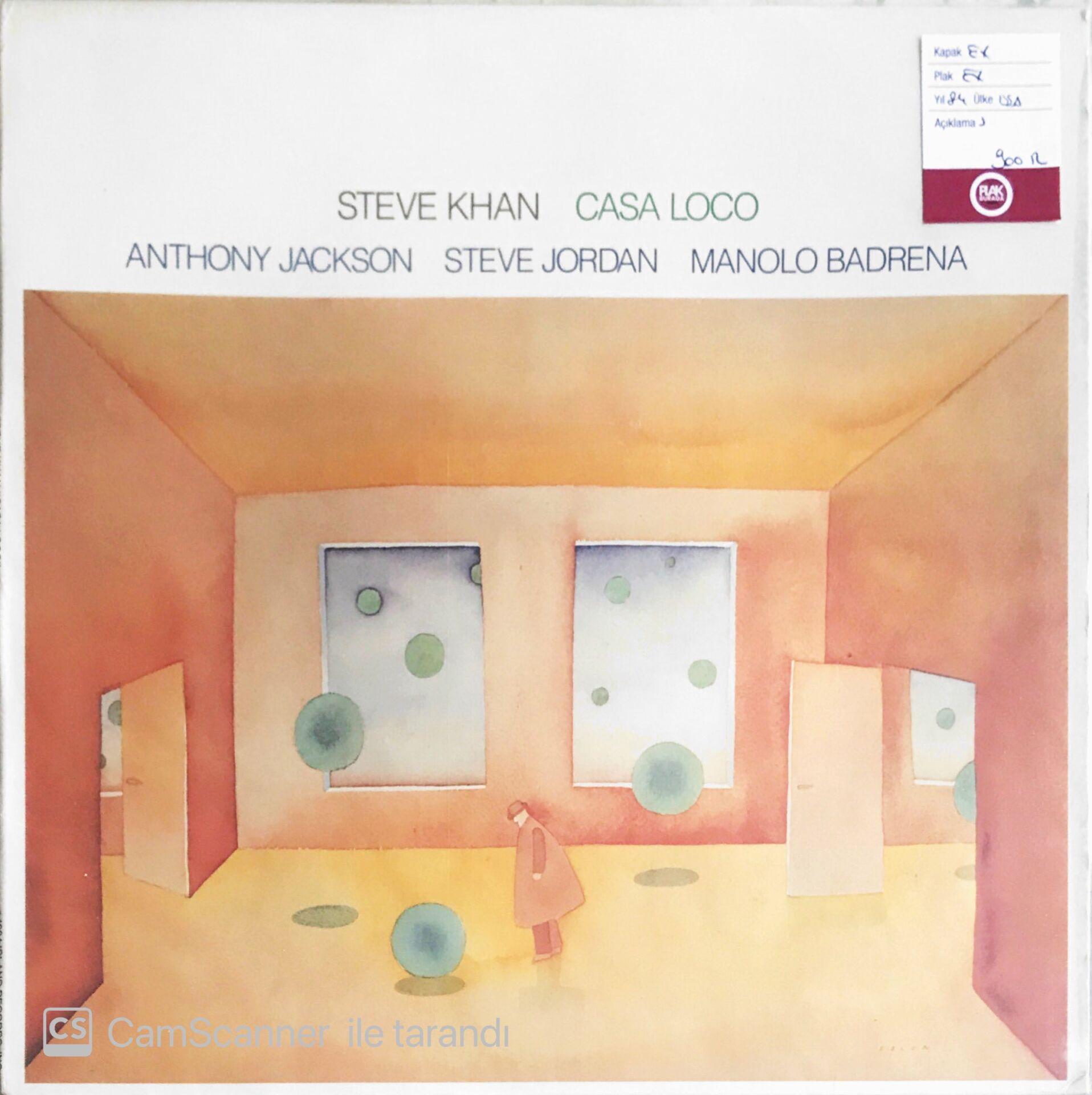Steve Khan  - Casa Loco - LP