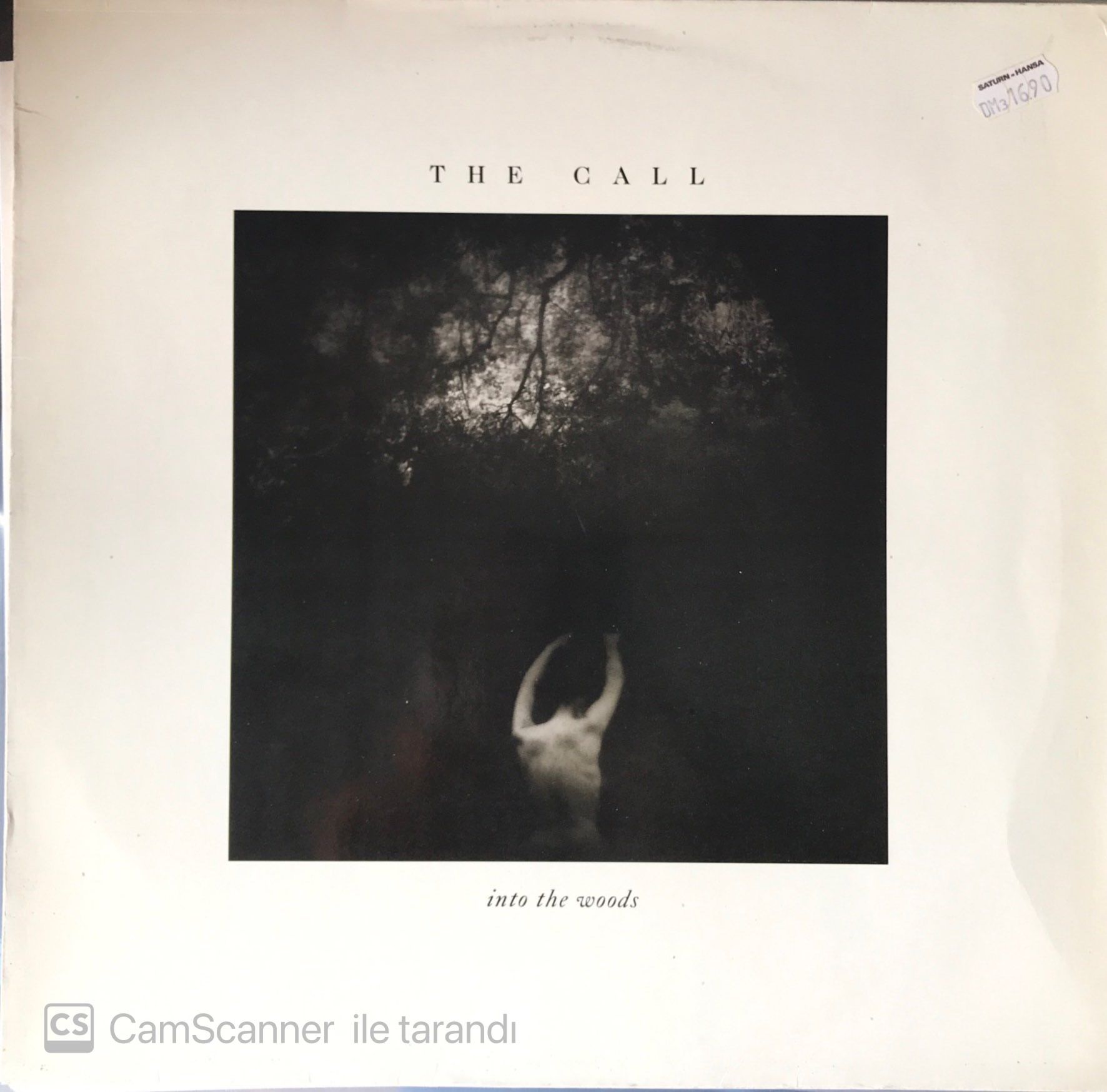 The Call Into The Woods LP