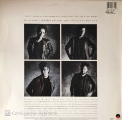 The Call Into The Woods LP