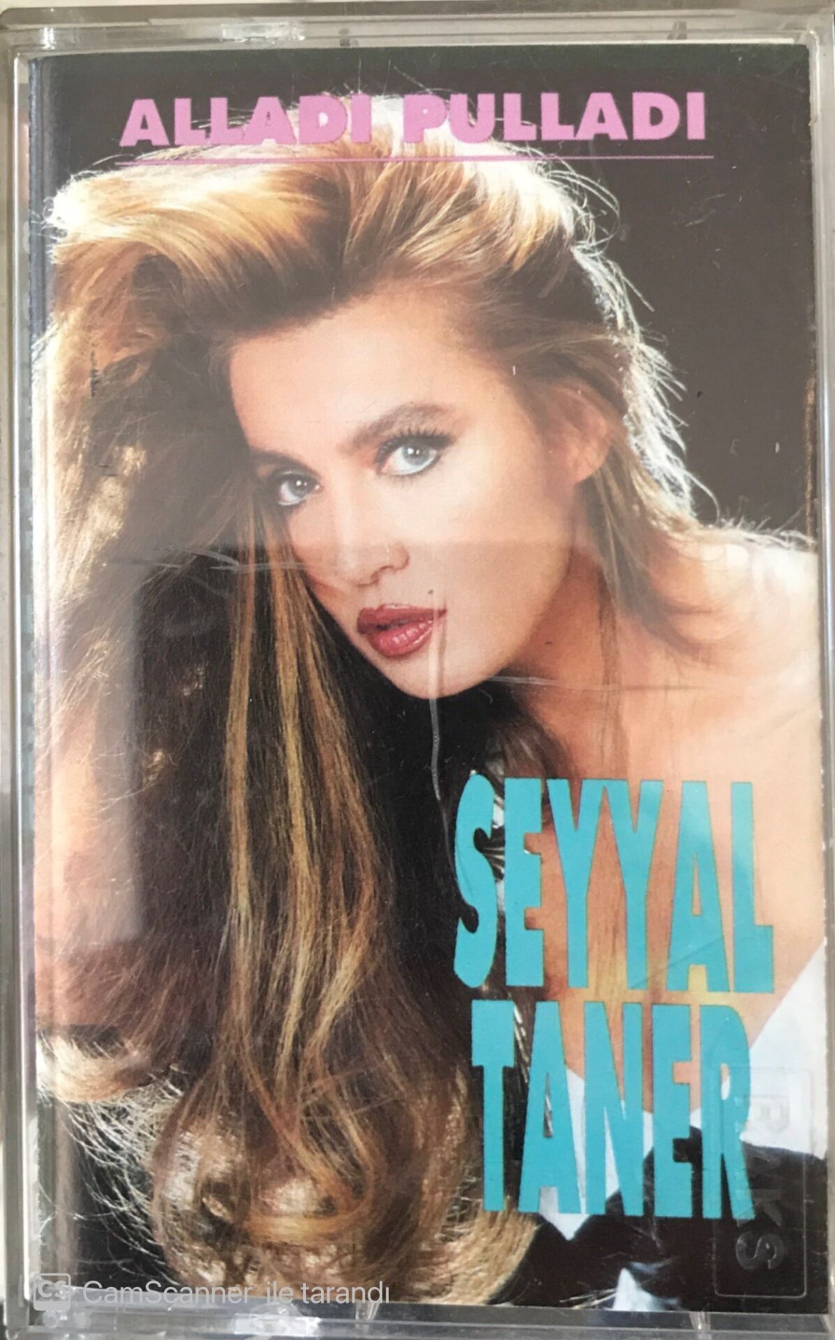 Seyyal Taner Alladı Pulladı KASET