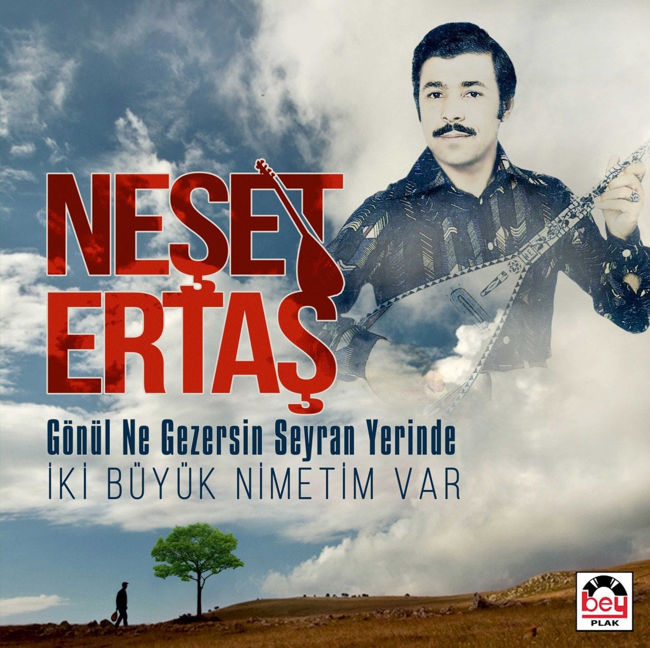 Neşet Ertaş Gönül Ne Gezersin Seyran Yerinde - İki Büyük Nimetim Var LP