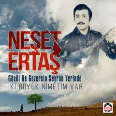 Neşet Ertaş Gönül Ne Gezersin Seyran Yerinde - İki Büyük Nimetim Var LP