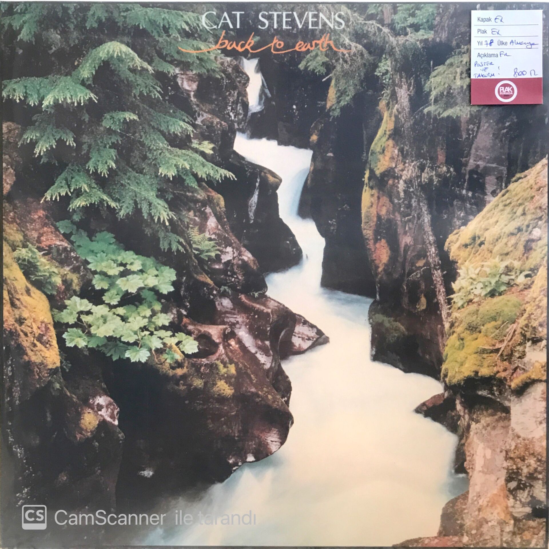 Cat Stevens Back To Earth LP