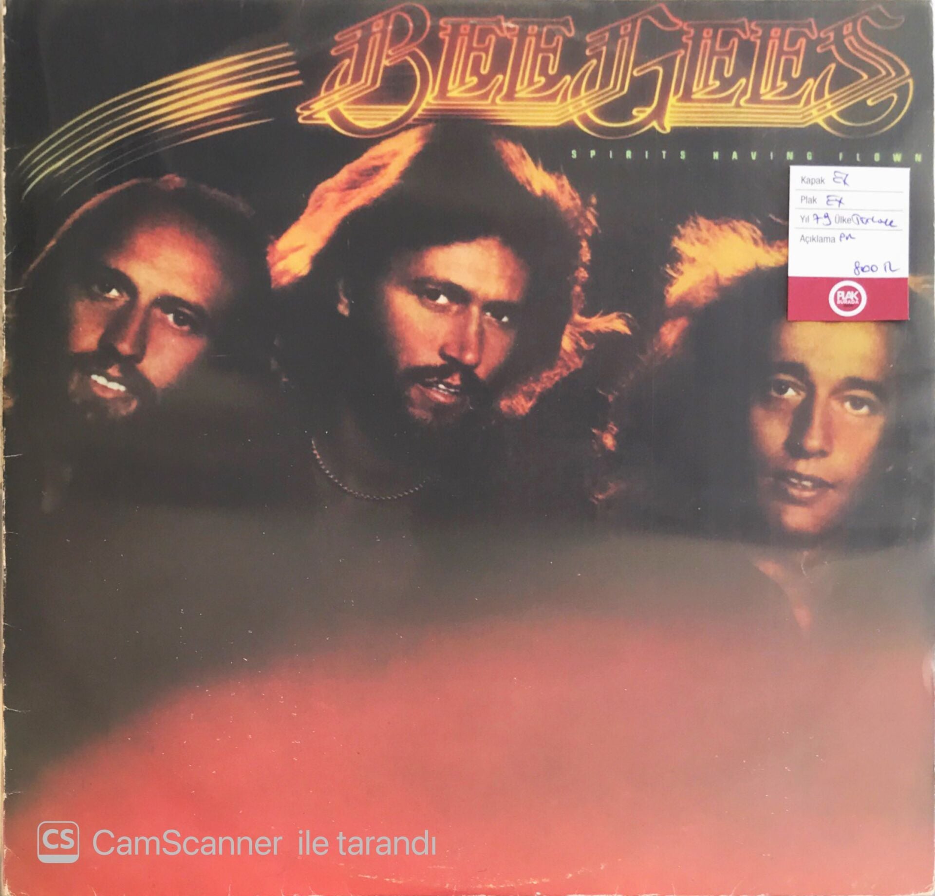 Bee Gees - Spirits Having Flown - LP