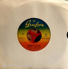 Zeki Müren Sarmaşık Gülleri 45lik