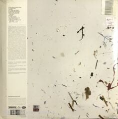 Jamie Cullum The Pursuit LP