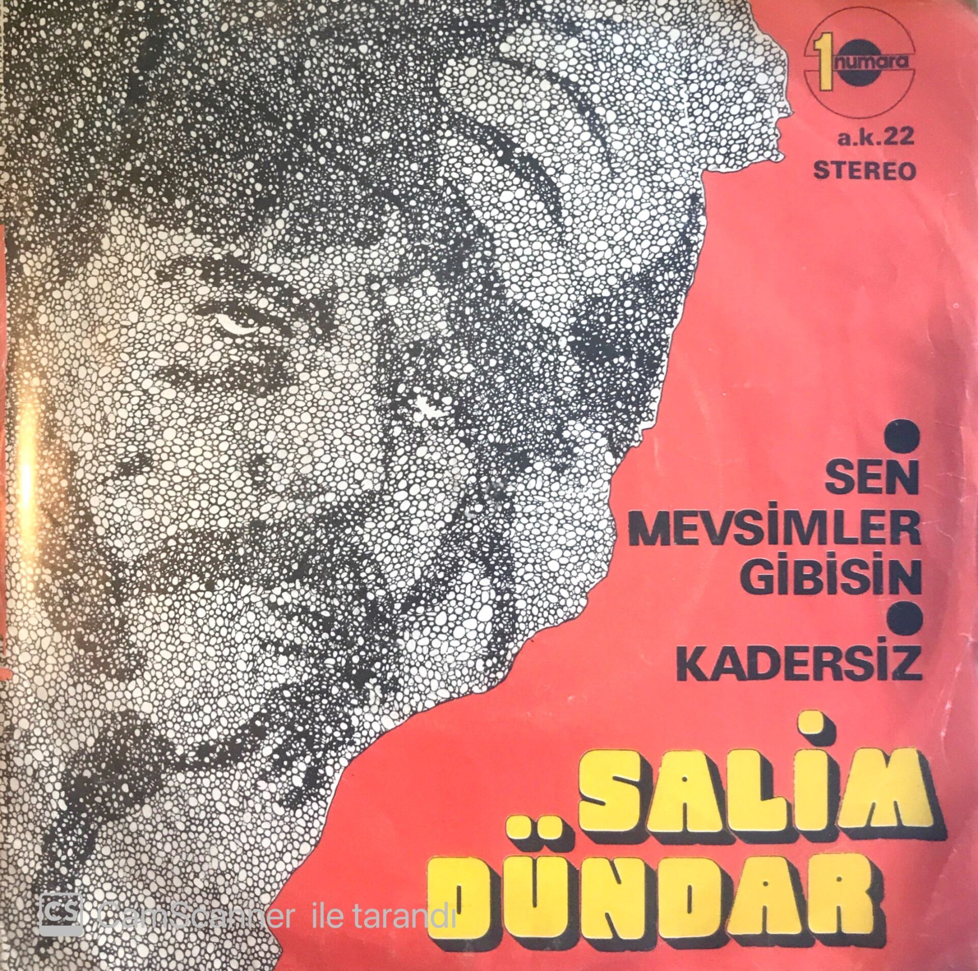 Salim Dündar / Sen Mevsimler Gibisin 45'lik