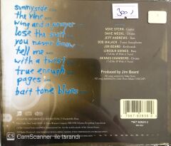 Mike Stern / Between The Lines Cd
