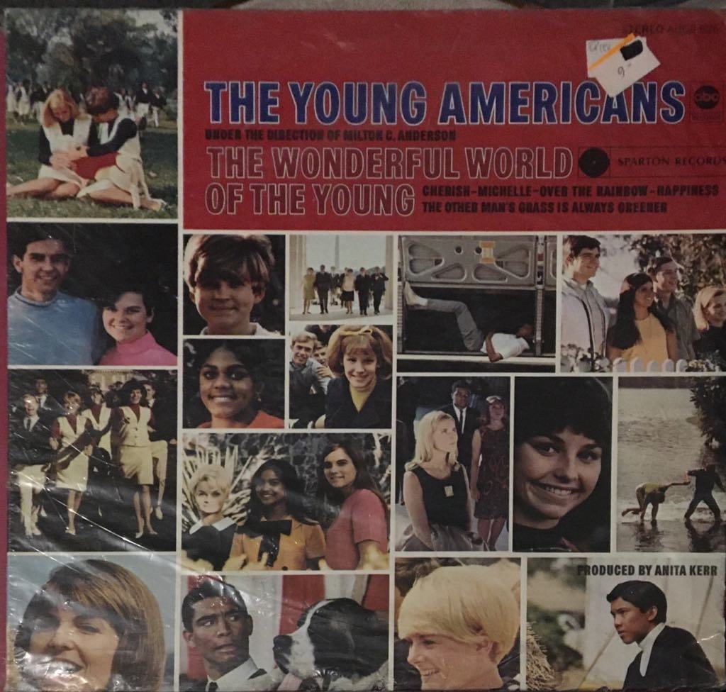 The Young Americans The Wonderful World LP