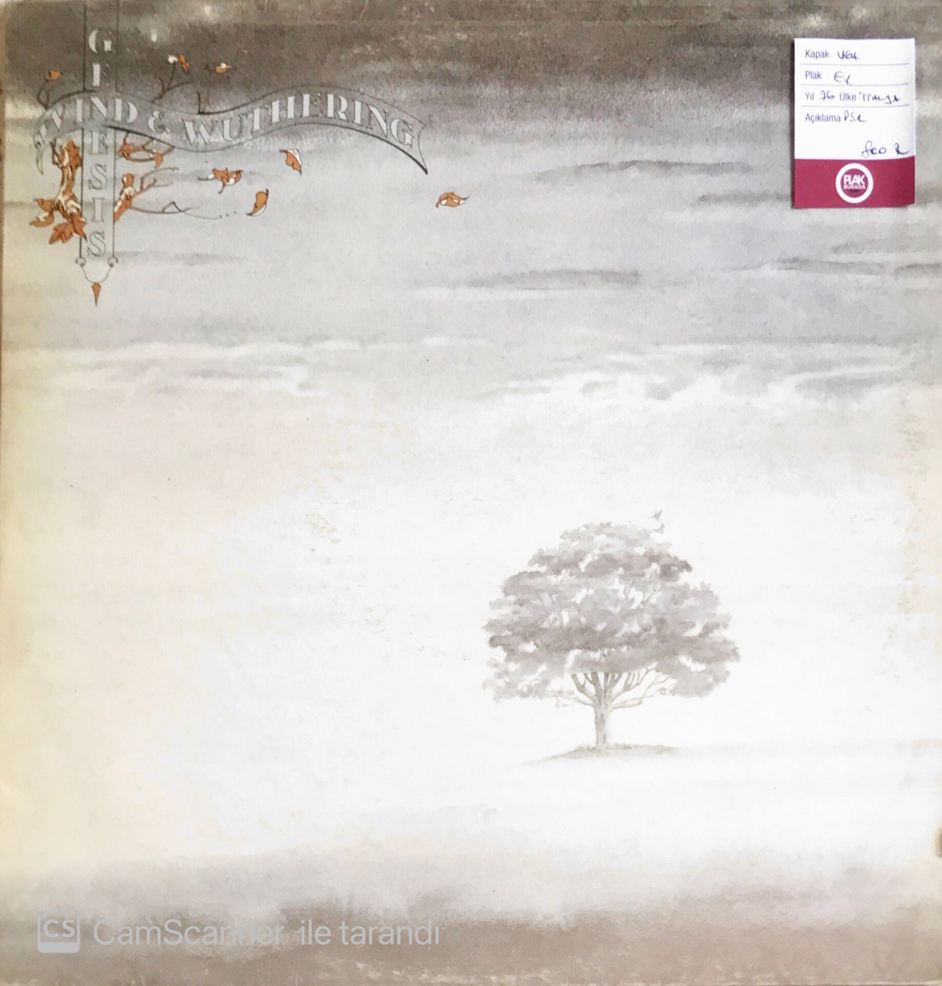 Genesis – Wind & Wuthering - LP
