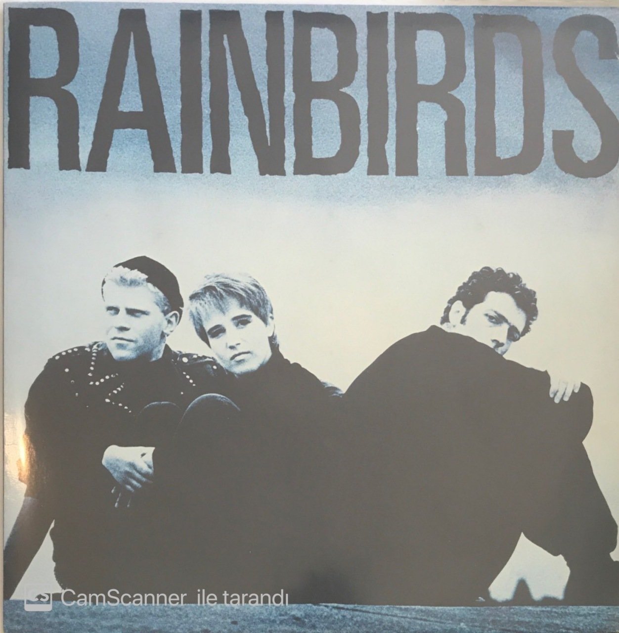 Rainbirds - Rainbirds LP