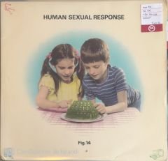 Human Sexual Response - Fig. 14 LP