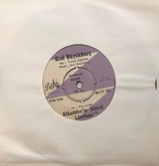 Erol Büyükburç Alaaddin'in Sihirli Lambası 45lik
