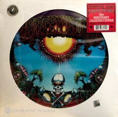 Grateful Dead* – Aoxomoxoa Picture Disc Limited Edition LP