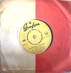 Hayko / Ahçiknerı Gıhapem 45'lik