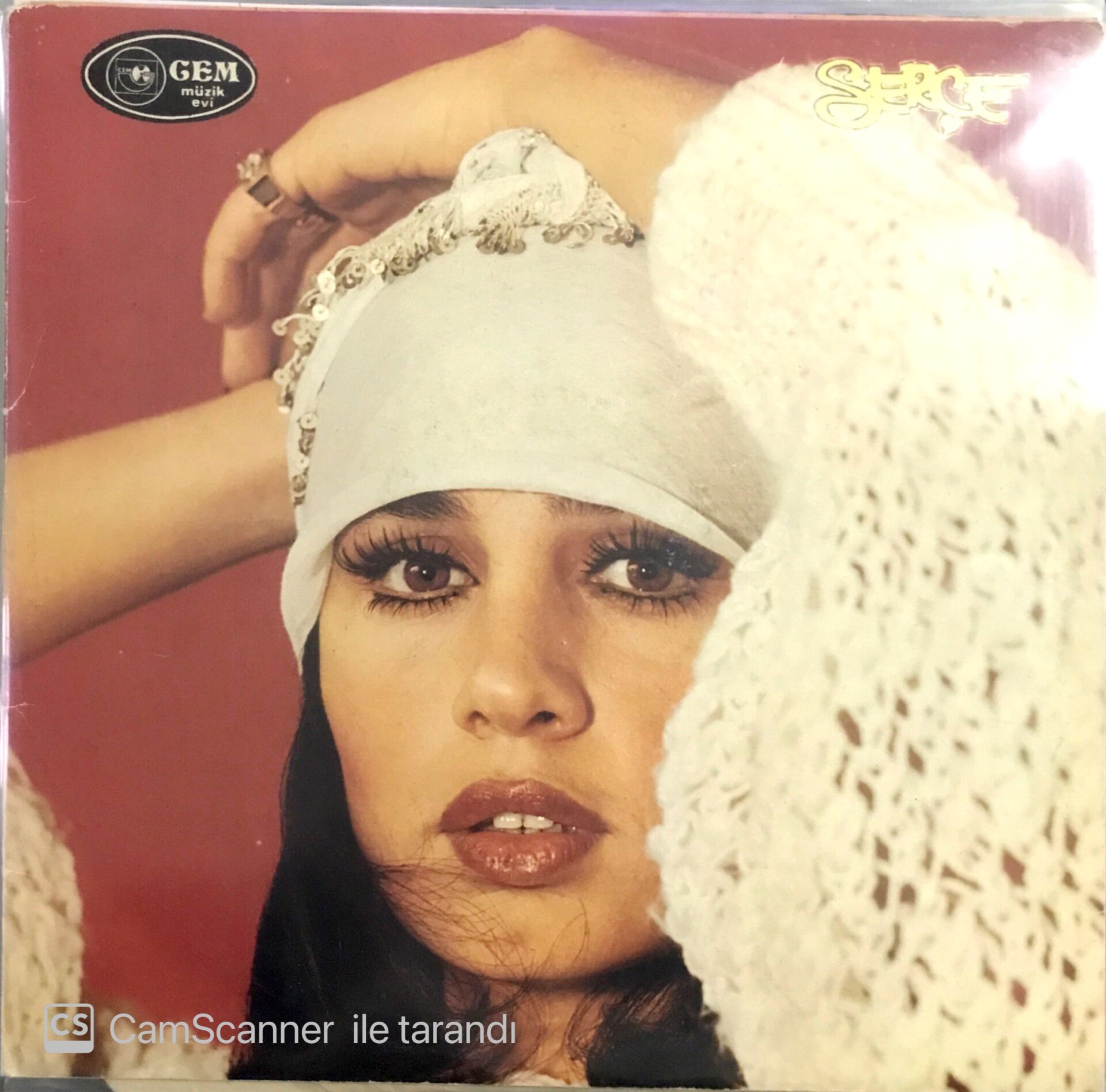 Sezen Aksu - Serçe Double LP