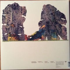 Grizzly Bear – Painted Ruins Double LP