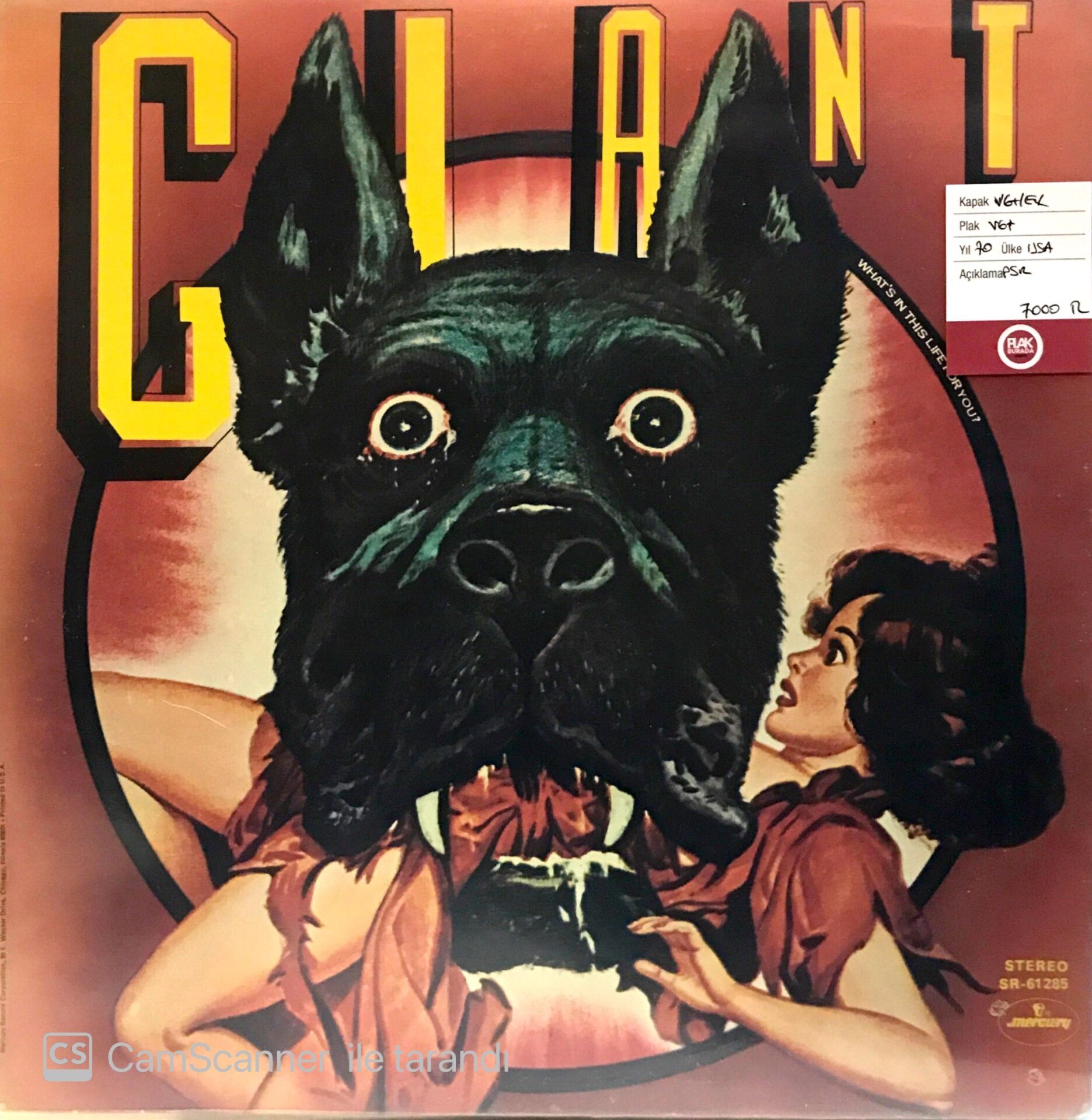 Giant / What's In This Life For You LP