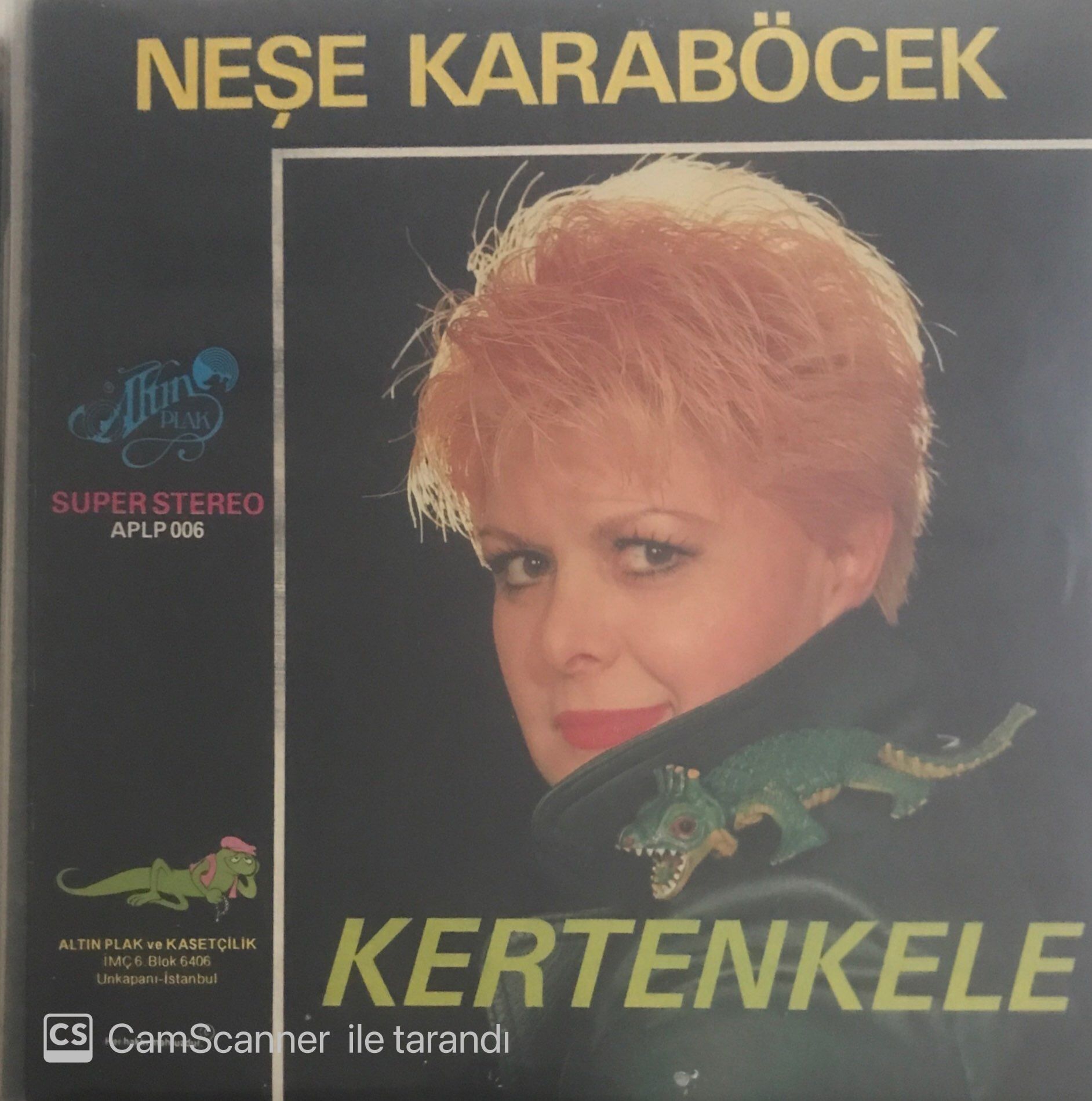 Neşe Karaböcek Kertenkele LP