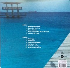 Devon Allman Turquoise LP