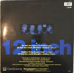 Ace Of Base - All That She Wants MAXİ