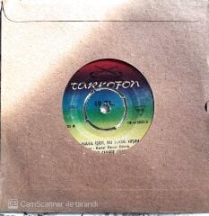 Cemile Cevher Çiçek - Bu Nasıl İşidi Bu Nasıl Hışım/Karşıdan Gelen Gelin - 45'lik