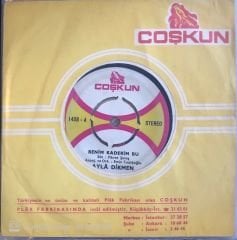 Ayla Dikmen Benim Kaderim Bu 45lik