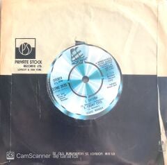 Stevie Wonder / Saturn 45'lik