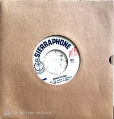 Nebahat Yıldız - Kurban Olduğum/Şile Çiftetellisi - 45'lik