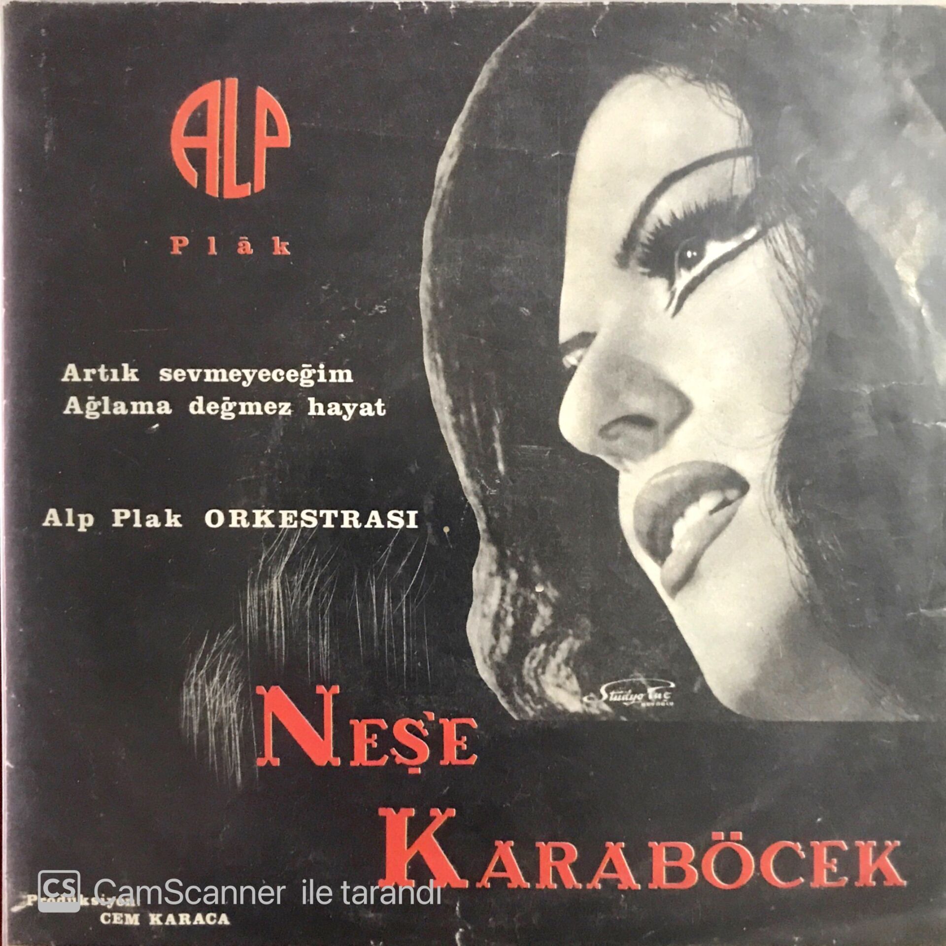 Neşe Karaböcek Artık Sevmeyeceğim  ( Cem Karaca Prod. ) 45lik
