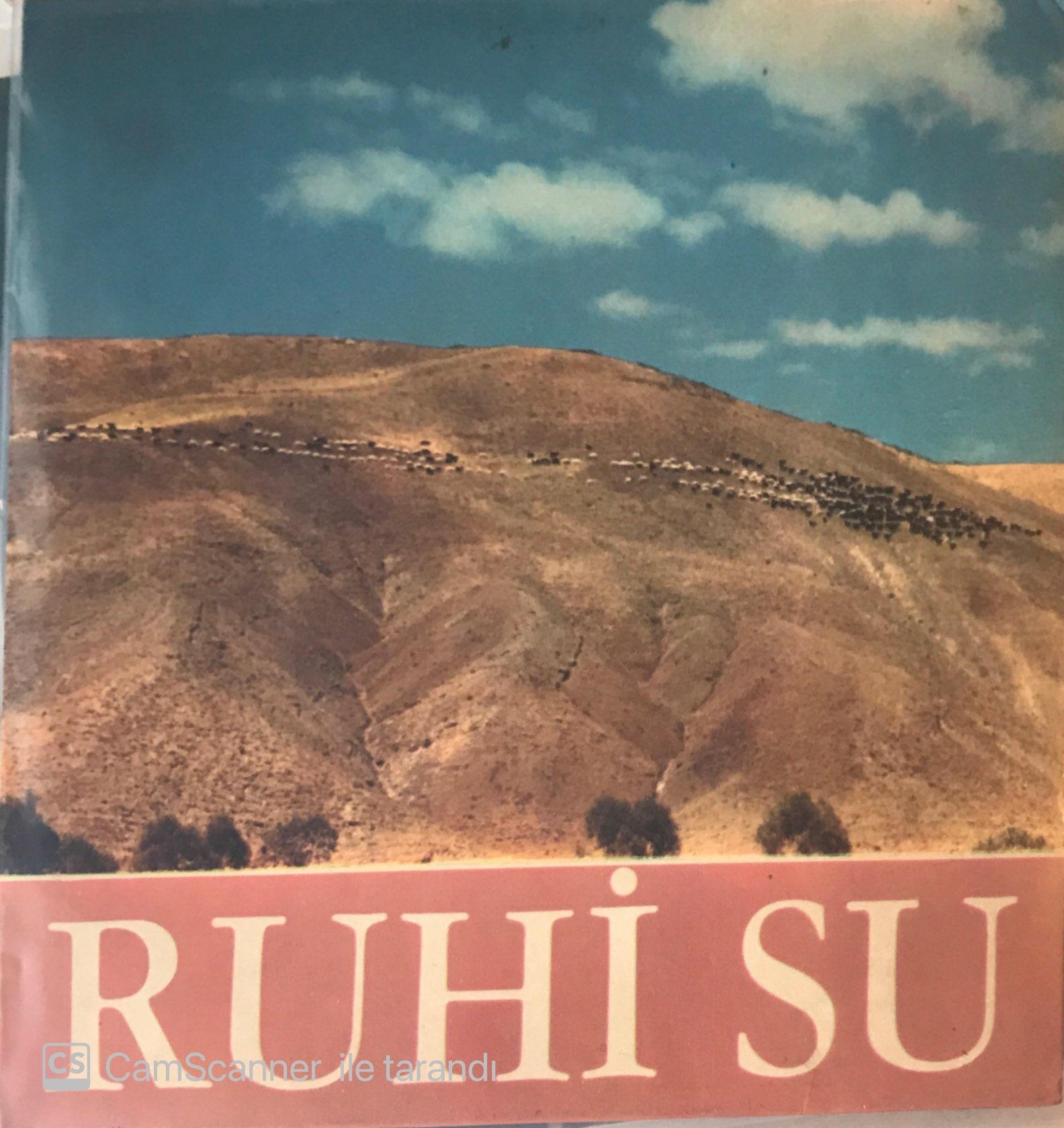 Ruhi Su Mor Koyun 45lik