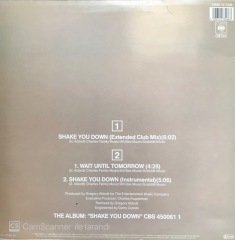 Gregory Abbott Shake You Down MAXI