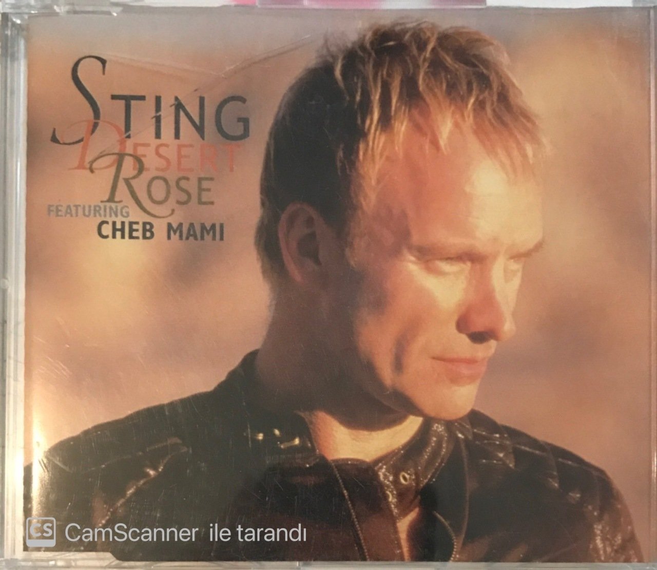 Sting Desert Rose CD