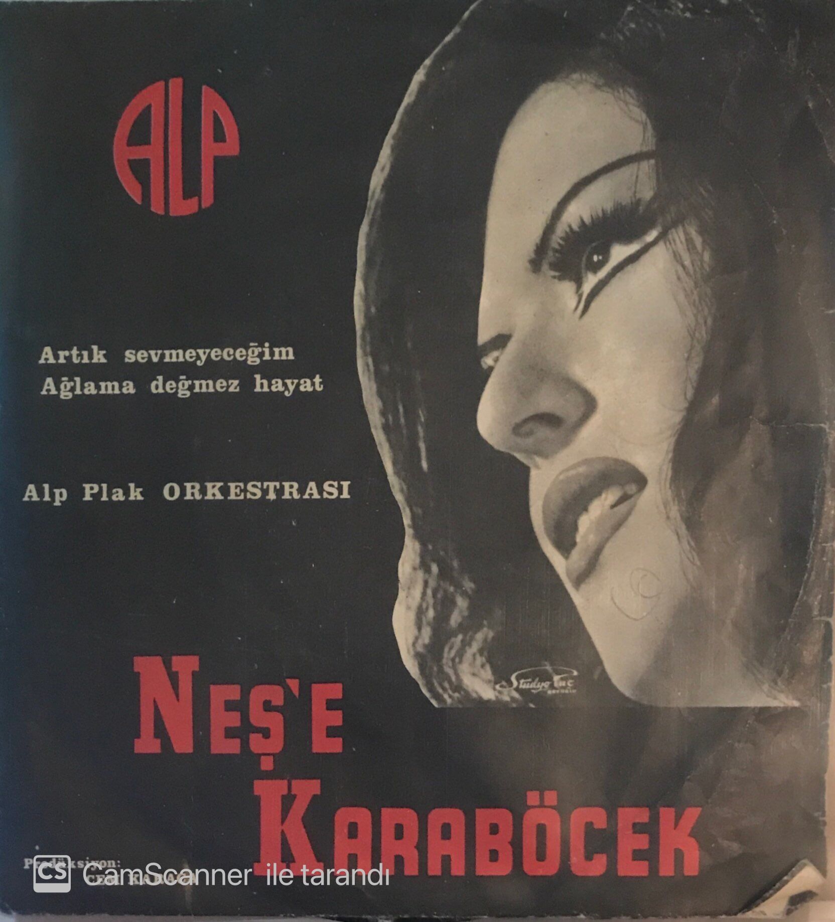 Neşe Karaböcek Artık Sevmeyeceğim  ( Cem Karaca Prod. ) 45lik