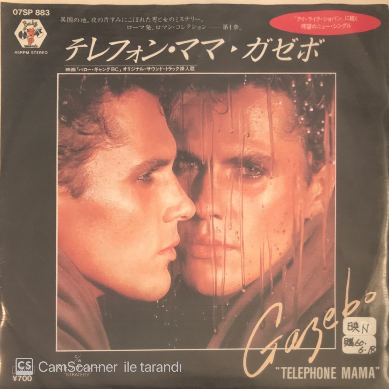 Gazebo Telephone Mama Japon Baskı 45lik