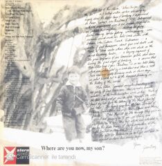 Joan Baez - Where Are You Now, My Son? - LP