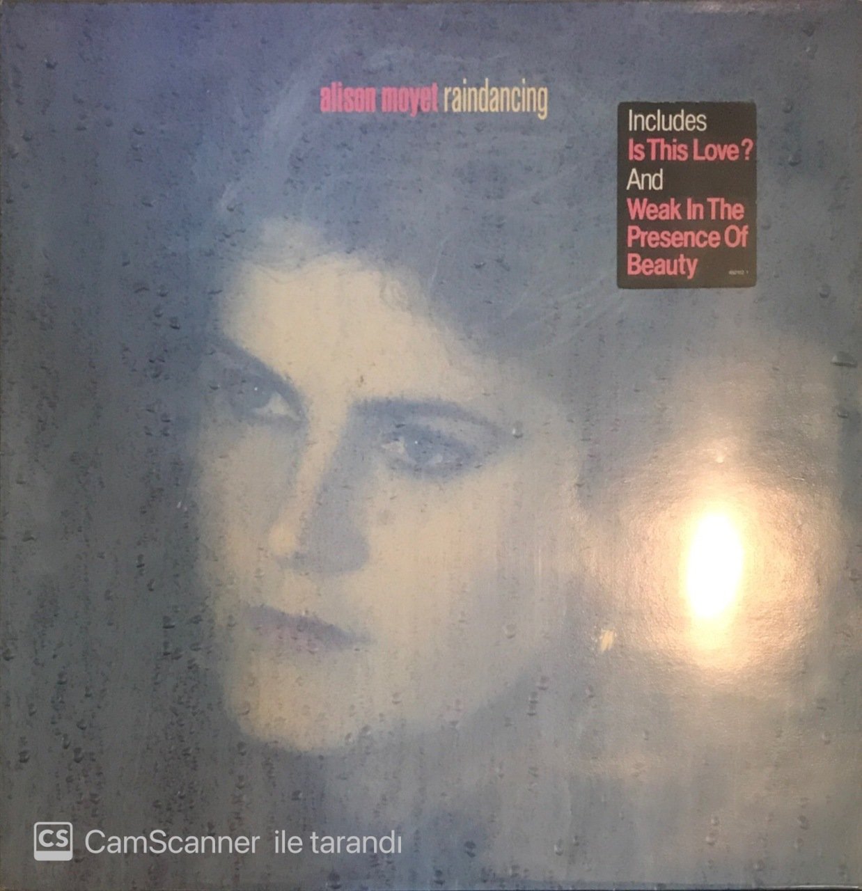Alison Moyet Raindancing LP