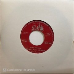 Sevim Tanürek Bolu Türküsü Tonbulacık Halimem 45lik