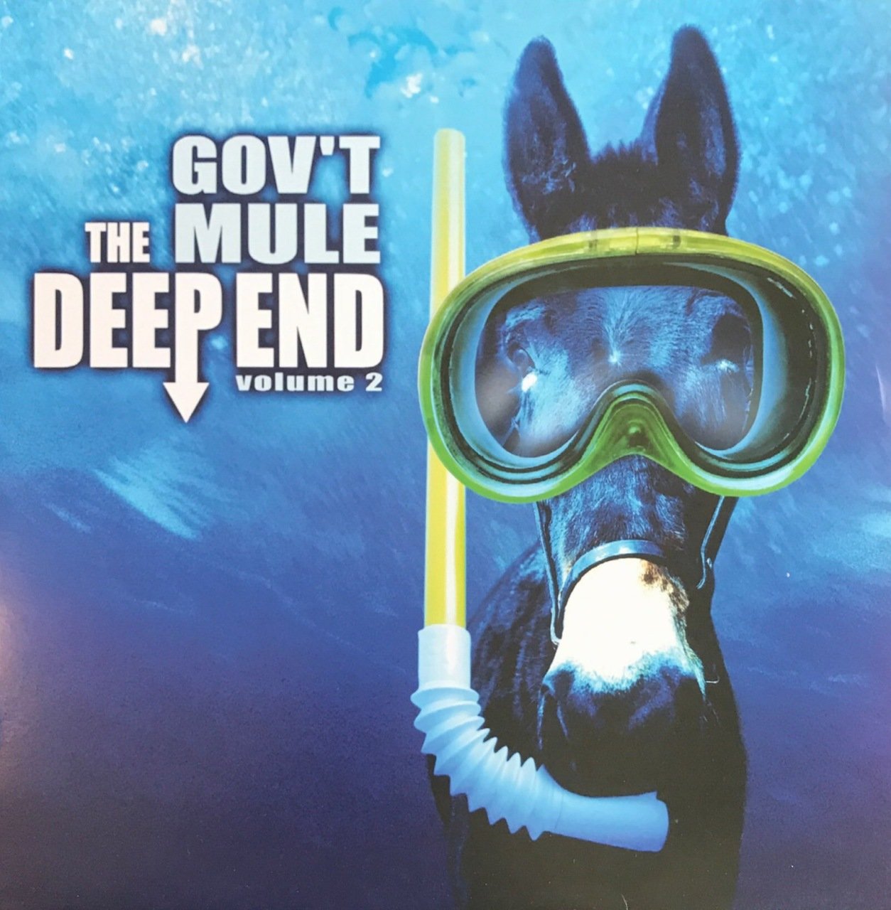 Gov't Mule The Deep End Vol.2 Çift LP