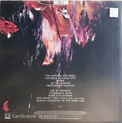 Gang Colours - Invisible In Your City - LP