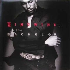 Ginuwine – Ginuwine... The Bachelor Double LP
