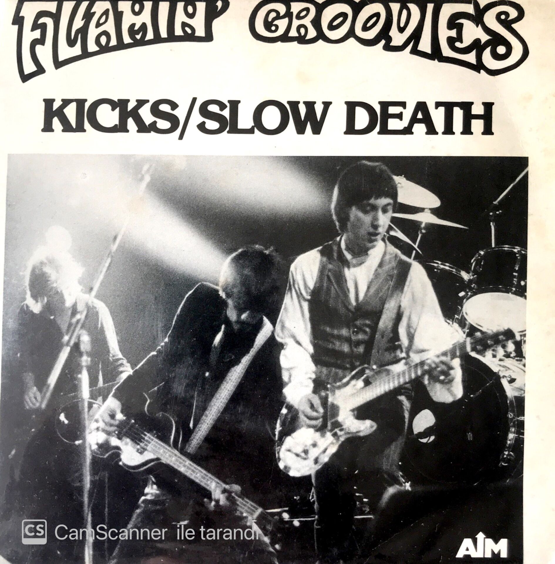 Flamin' Groovies / Kicks 45'lik