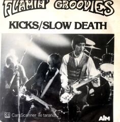 Flamin' Groovies / Kicks 45'lik
